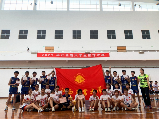  绿茵激战正酣，豪门球队强势争冠